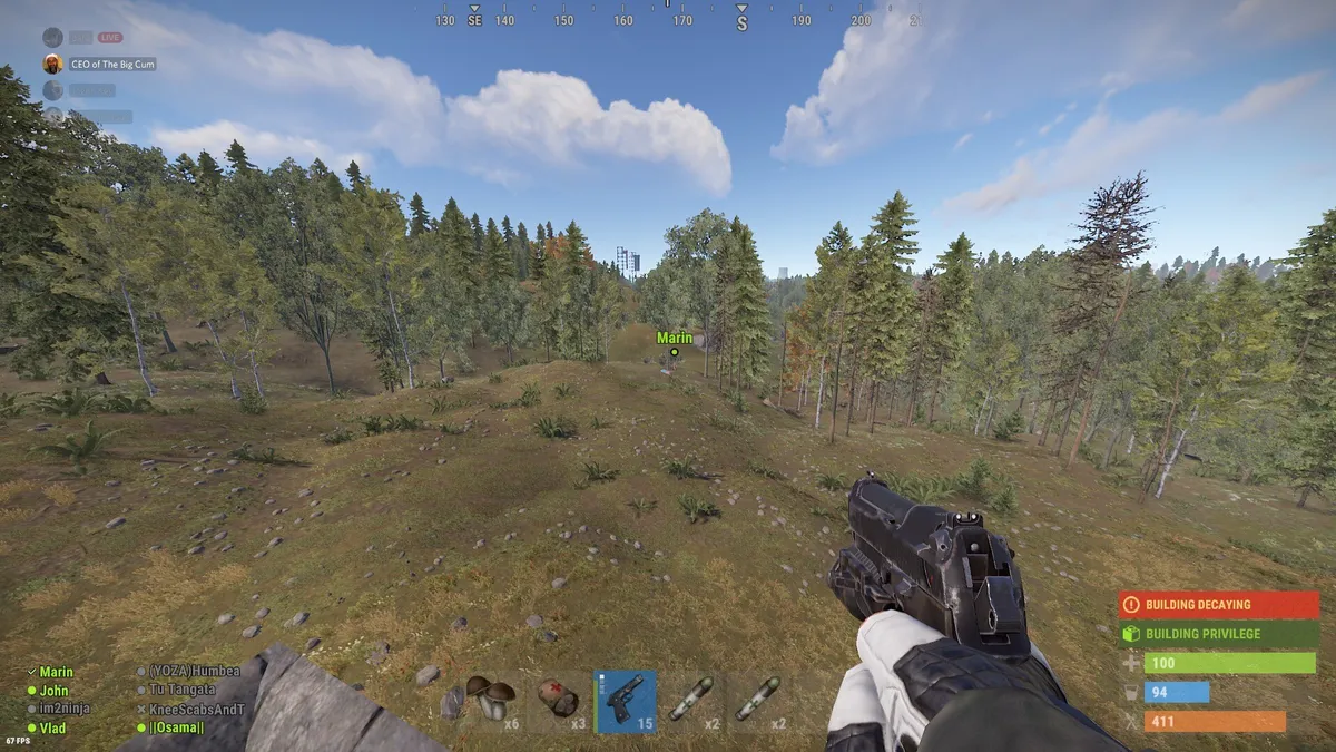 A forest biome, where only low-tier resources spawn